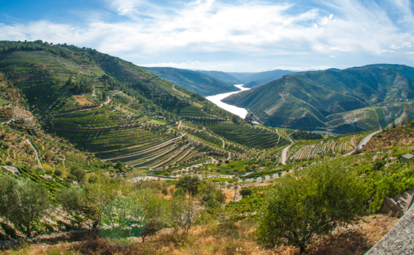 Douro River Valley (cruise only)
