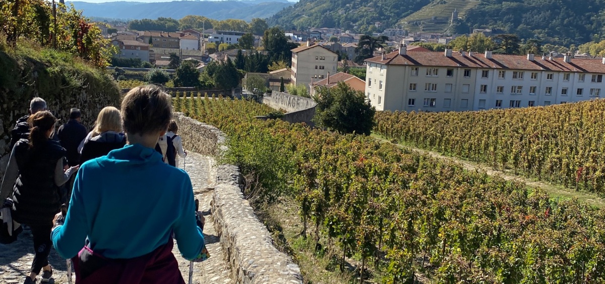 Hiking the Hermitage Vineyards